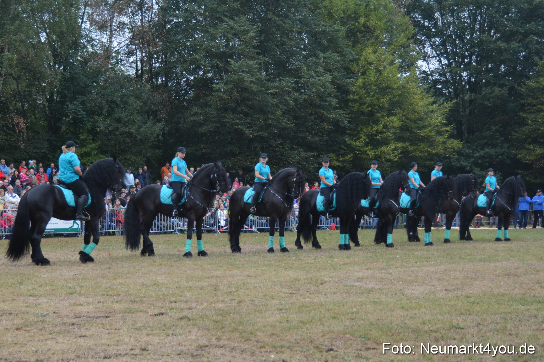 Pferde und Fohlenschau 170815 0077