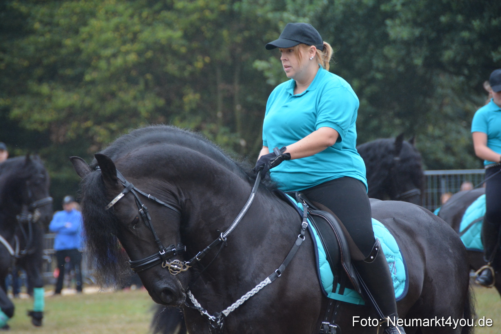 Pferde und Fohlenschau 170815 0078