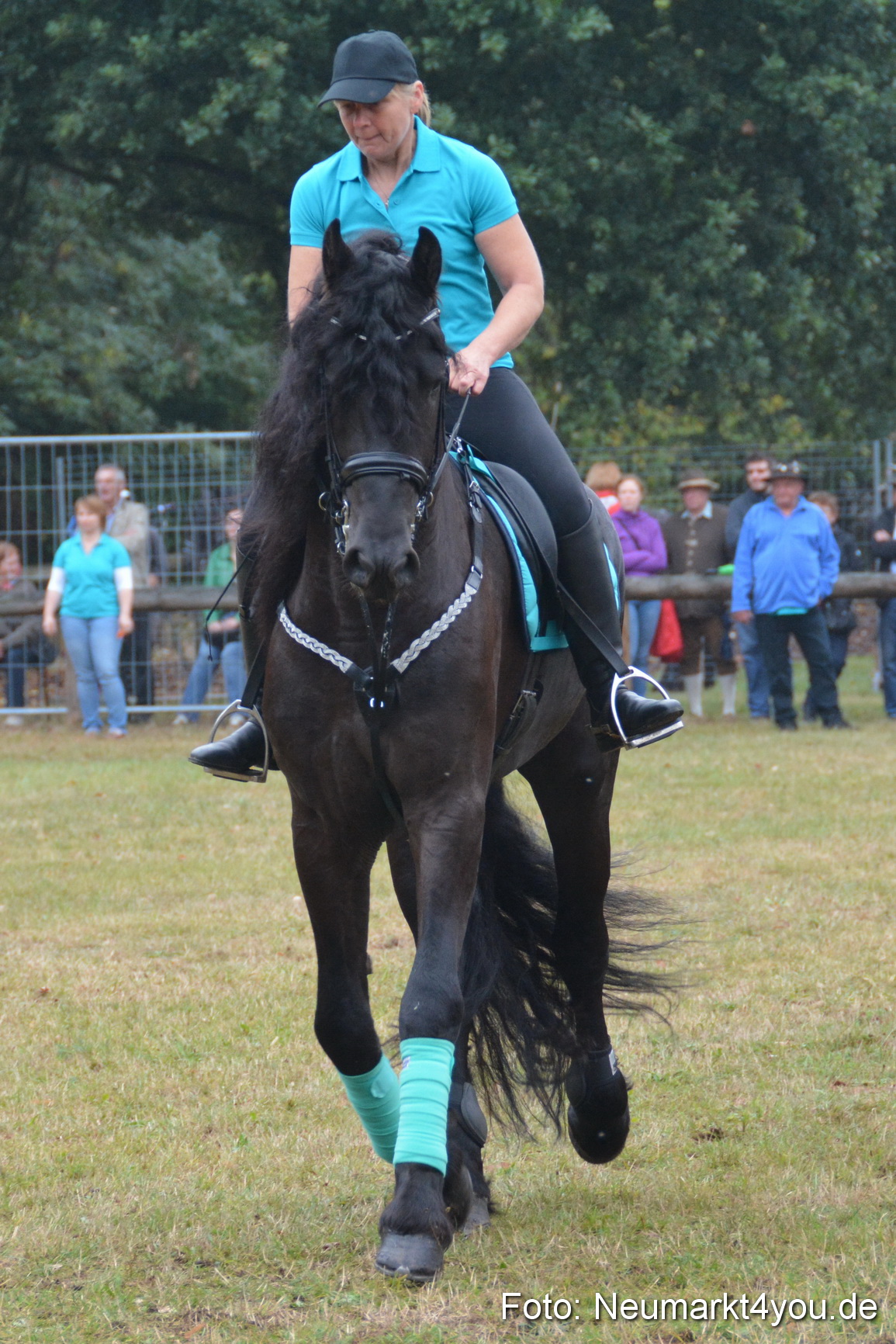 Pferde und Fohlenschau 170815 0079