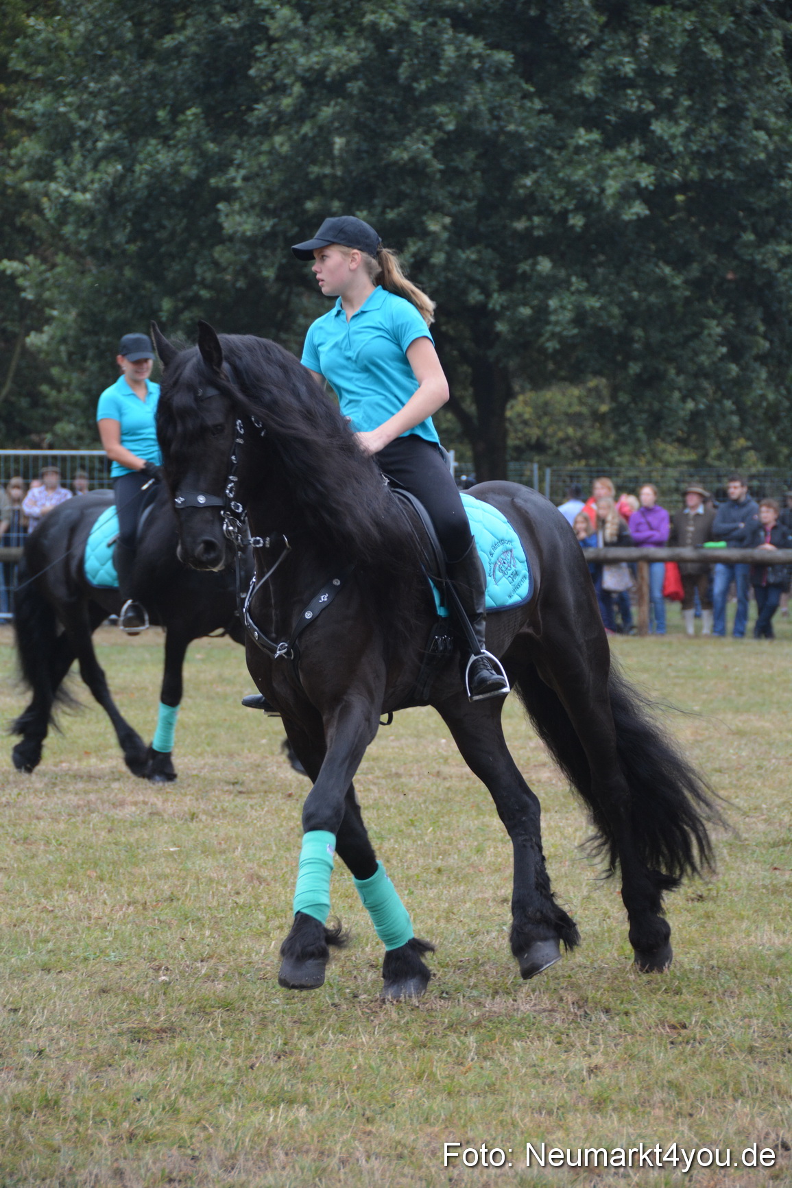 Pferde und Fohlenschau 170815 0083