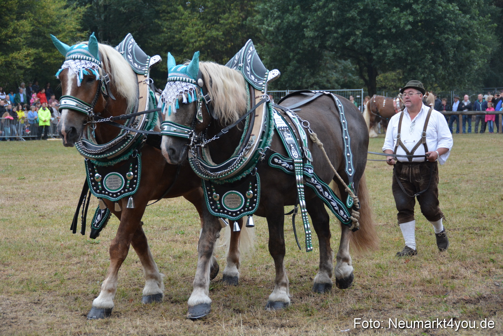 Pferde und Fohlenschau 170815 0127