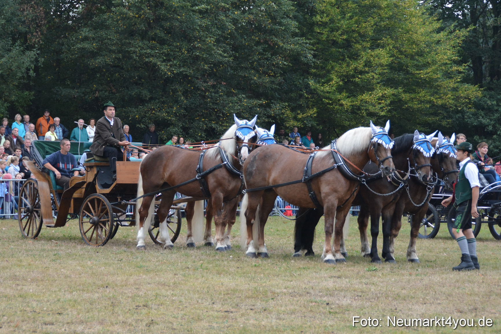 Pferde und Fohlenschau 170815 0148
