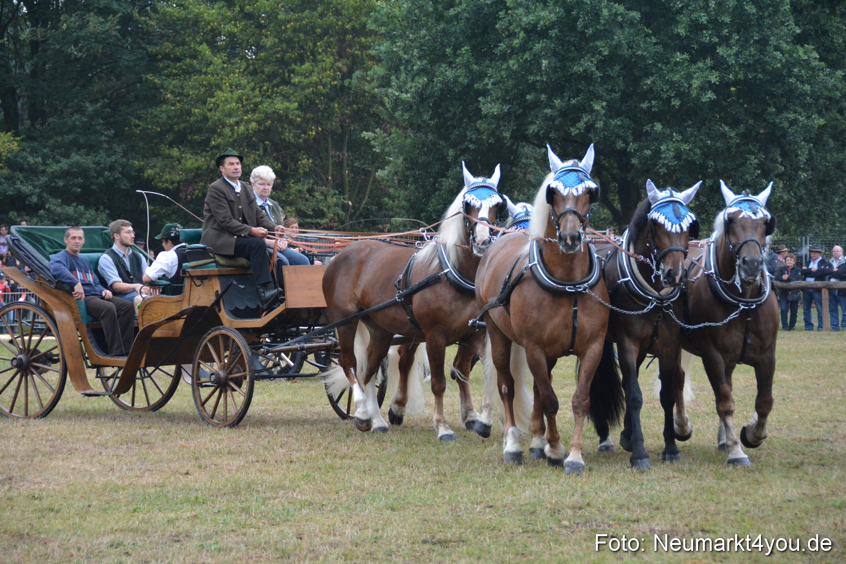 Pferde und Fohlenschau 170815 0150