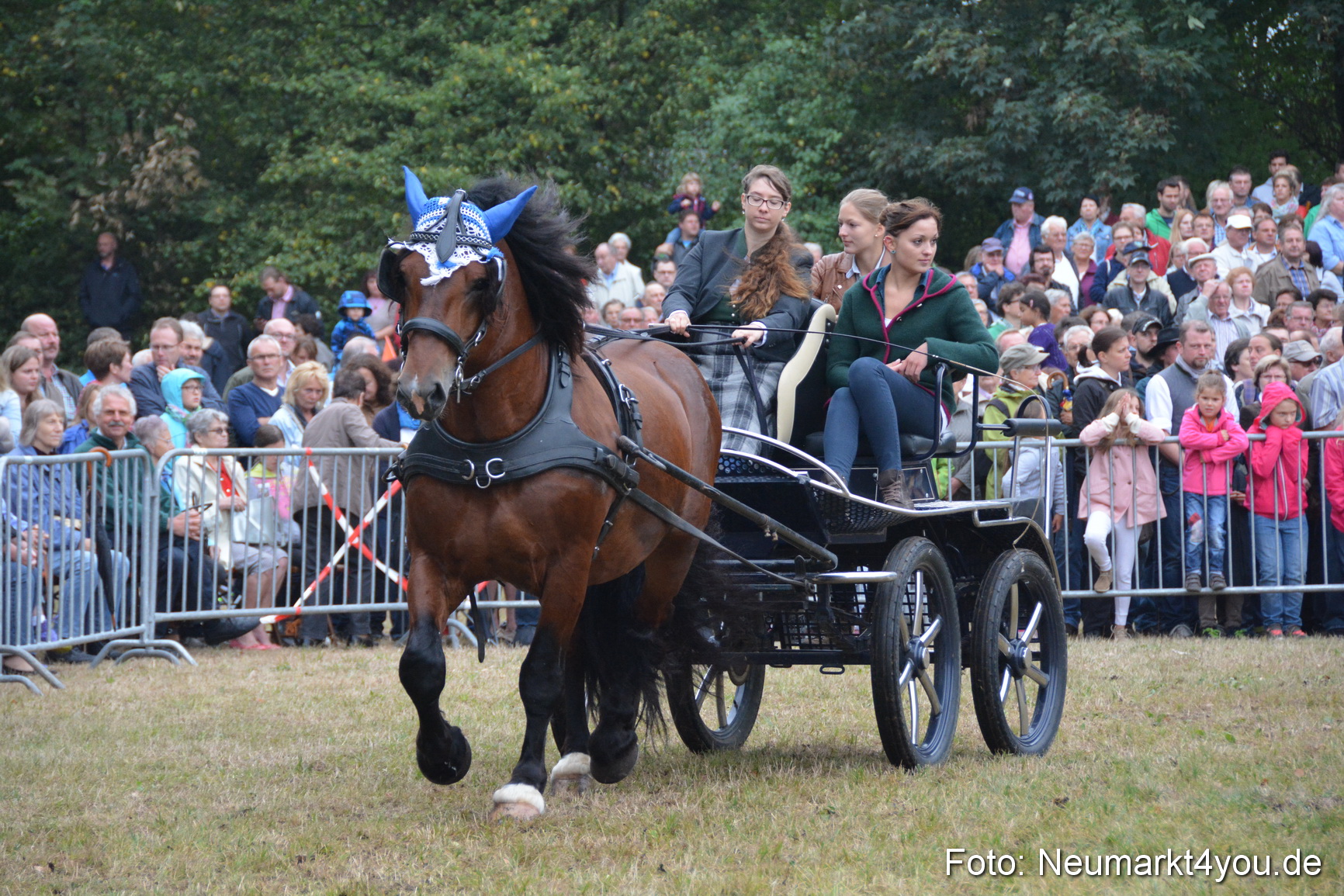 Pferde und Fohlenschau 170815 0159