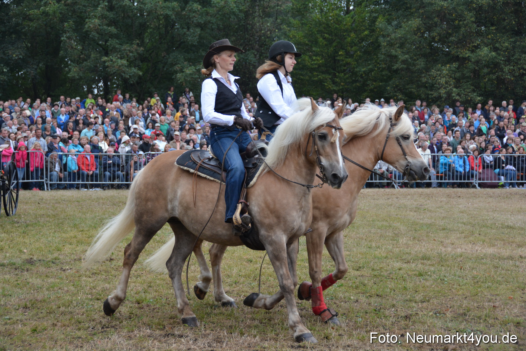 Pferde und Fohlenschau 170815 0167