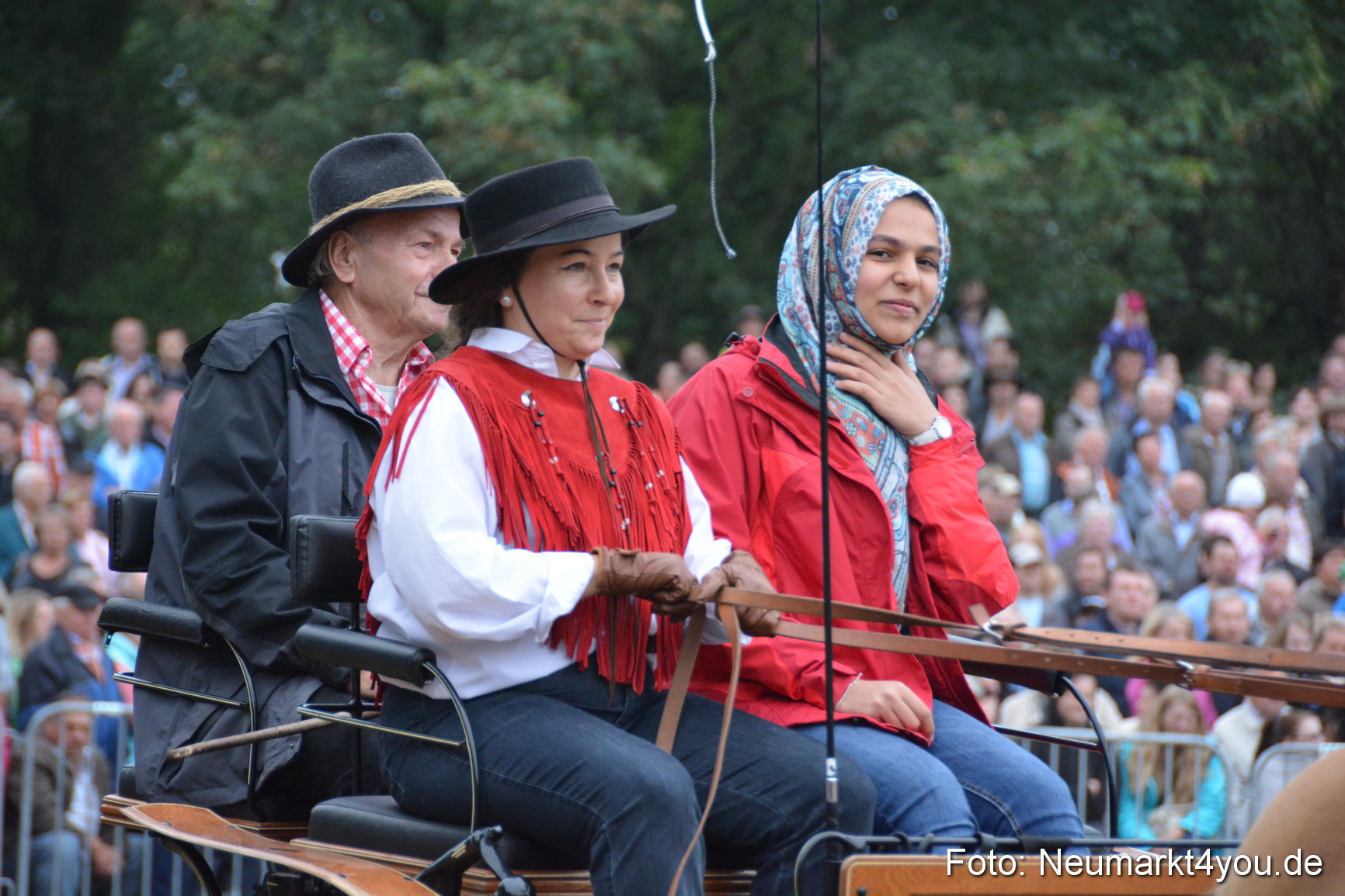 Pferde und Fohlenschau 170815 0168