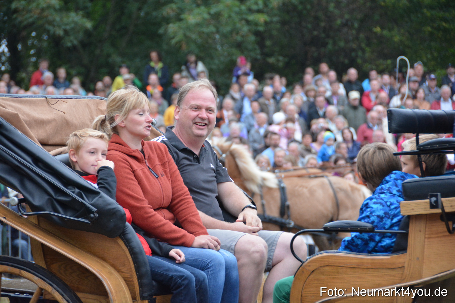 Pferde und Fohlenschau 170815 0170