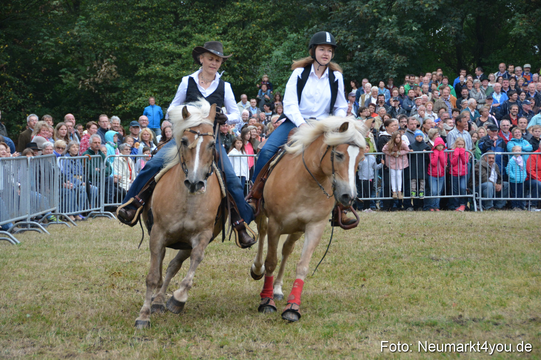 Pferde und Fohlenschau 170815 0174