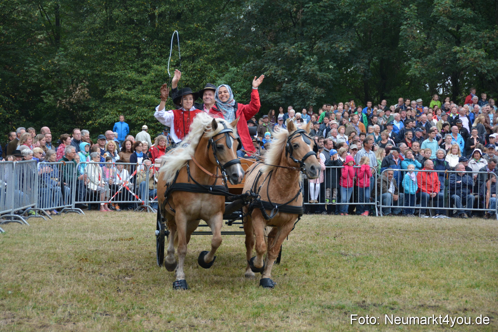 Pferde und Fohlenschau 170815 0175
