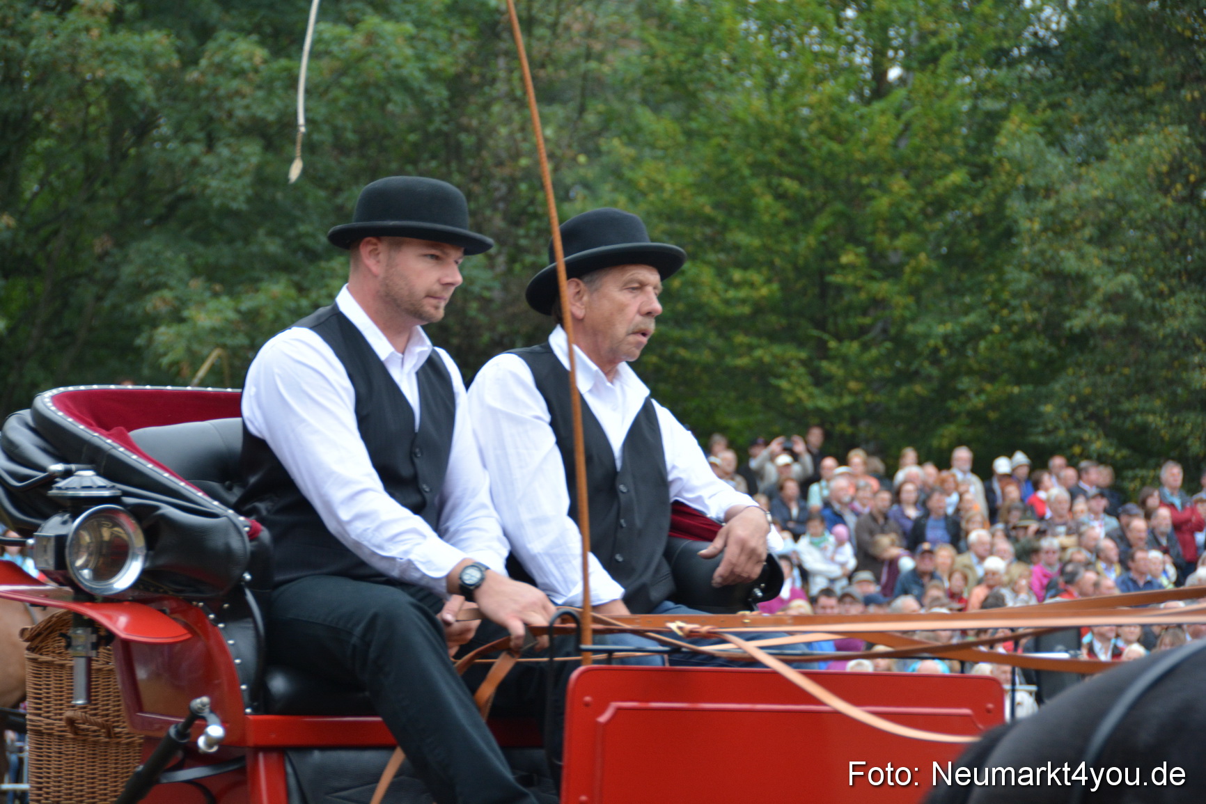 Pferde und Fohlenschau 170815 0184