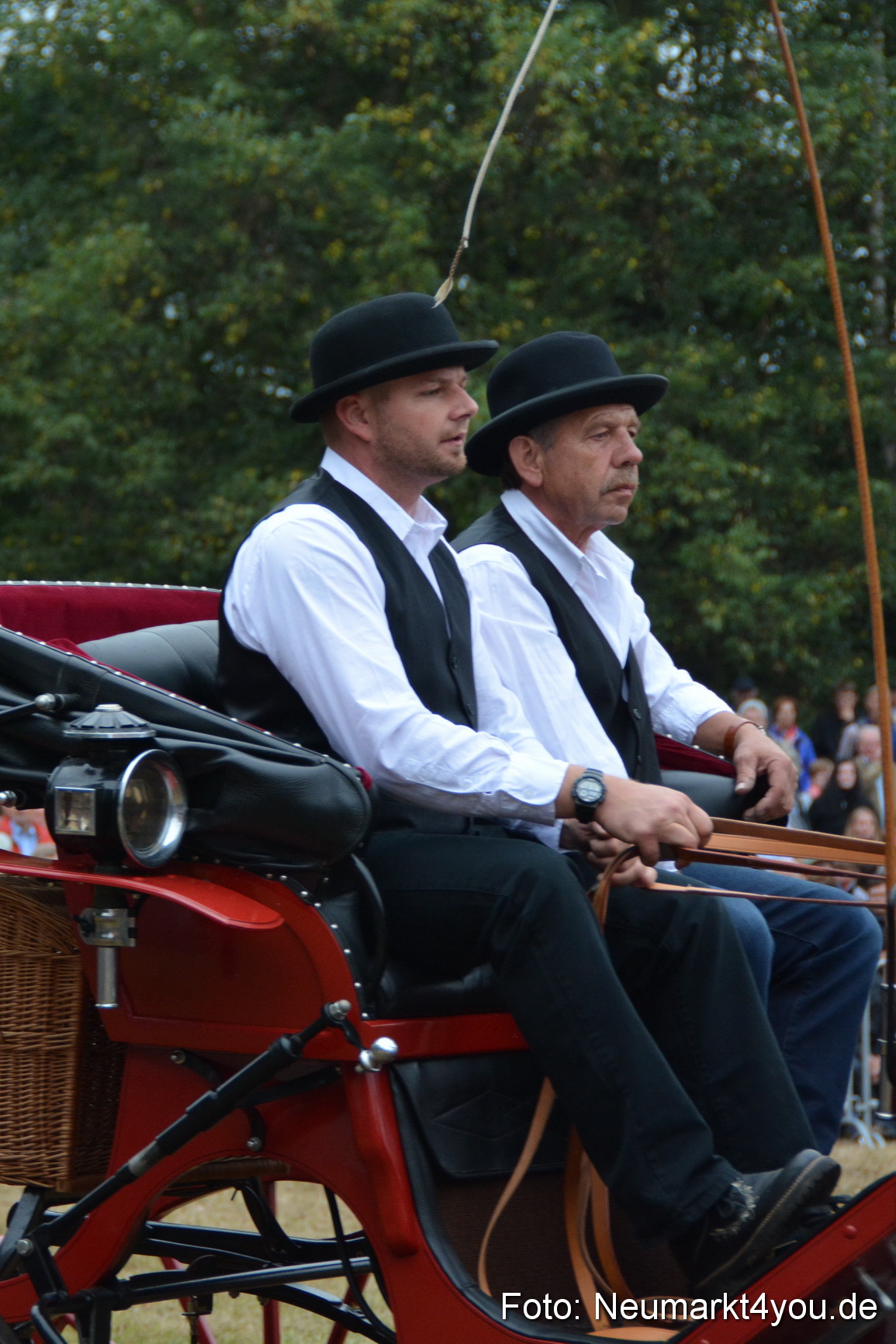 Pferde und Fohlenschau 170815 0186