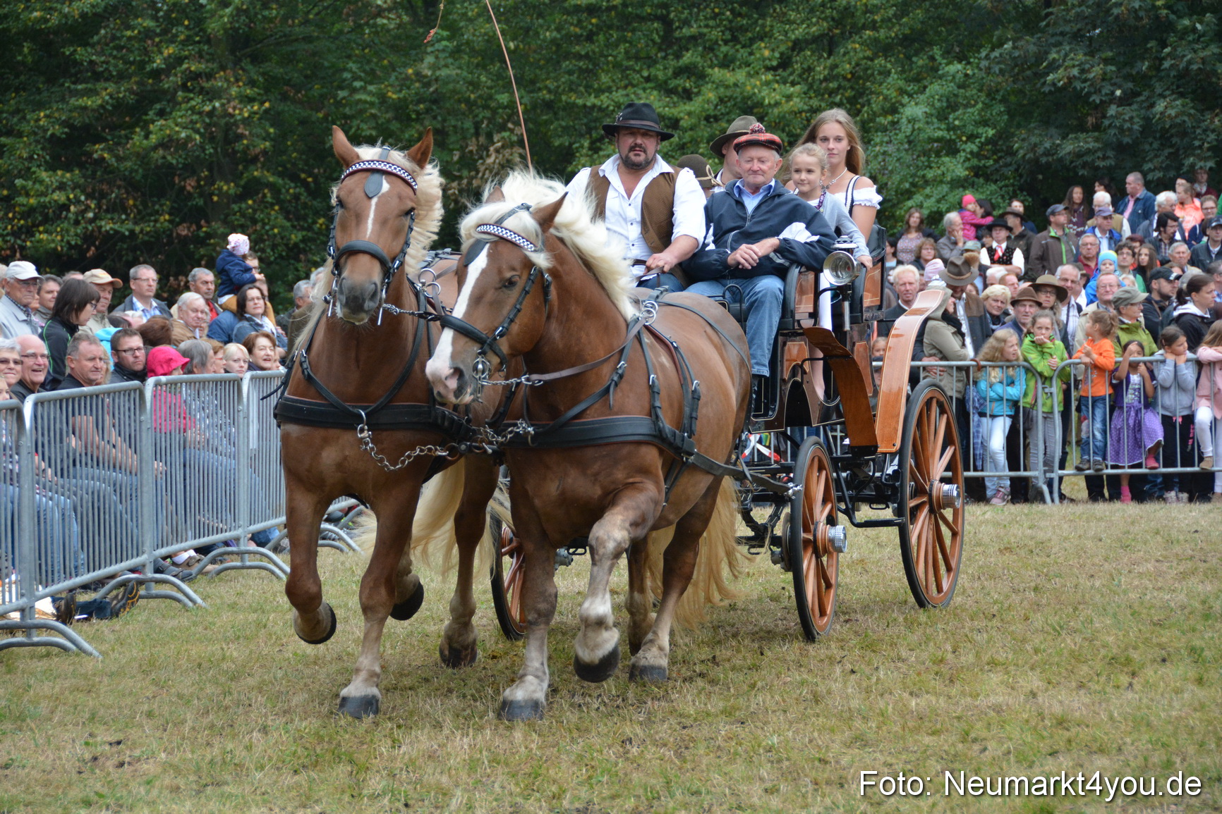 Pferde und Fohlenschau 170815 0189
