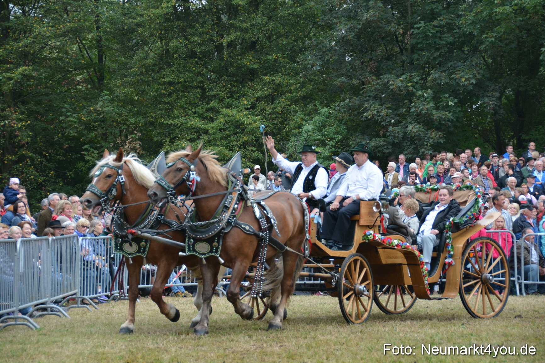 Pferde und Fohlenschau 170815 0190