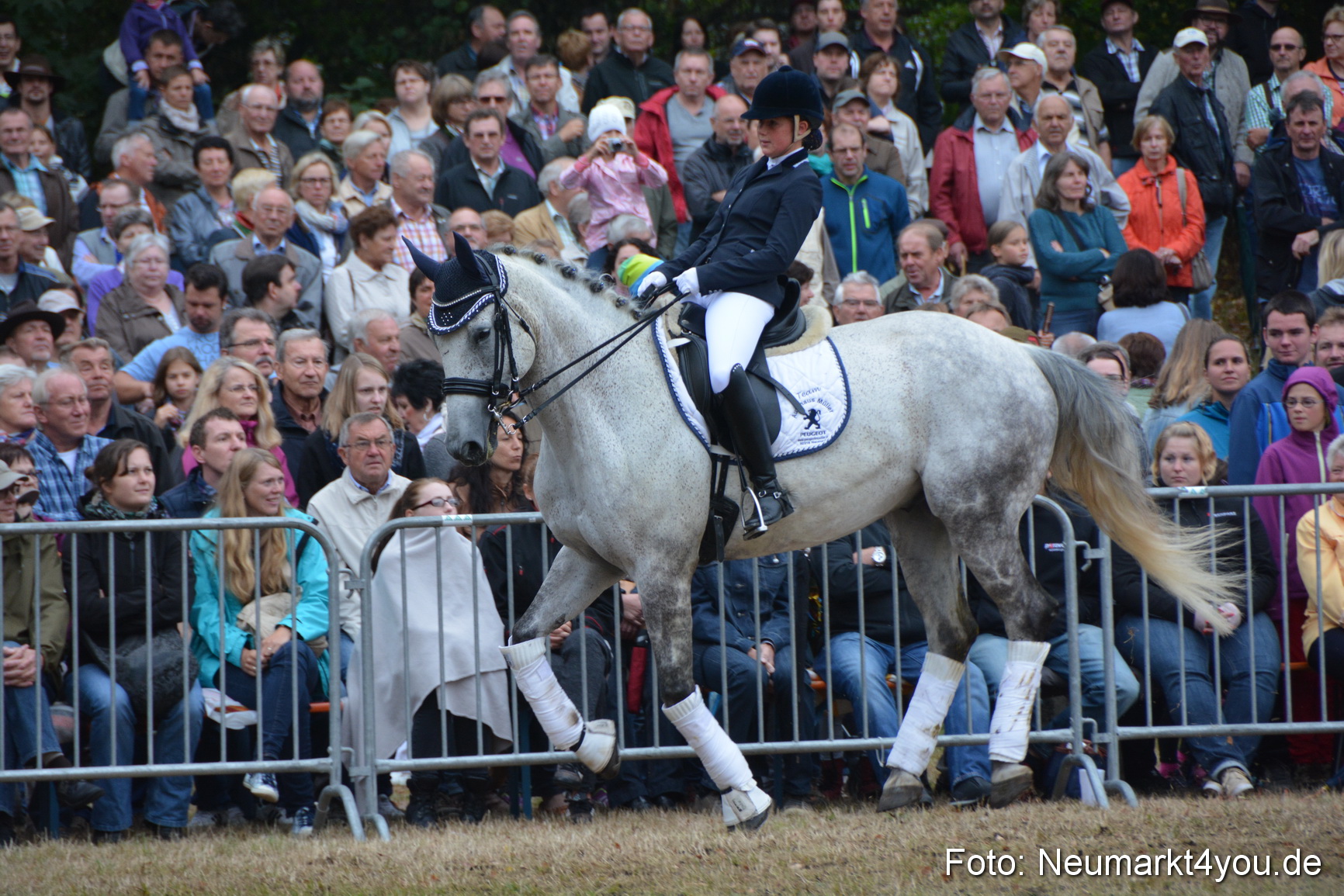 Pferde und Fohlenschau 170815 0194