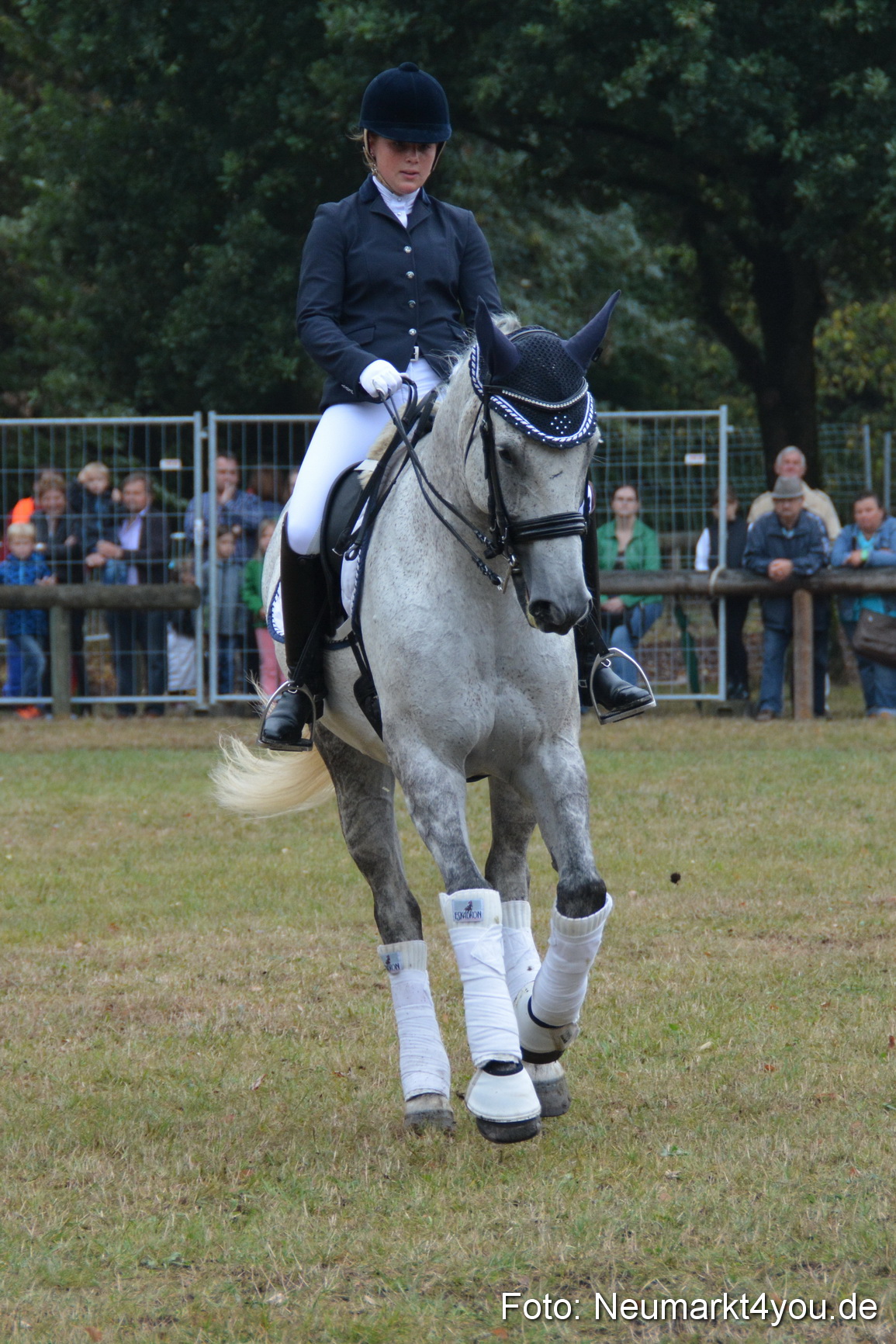 Pferde und Fohlenschau 170815 0195