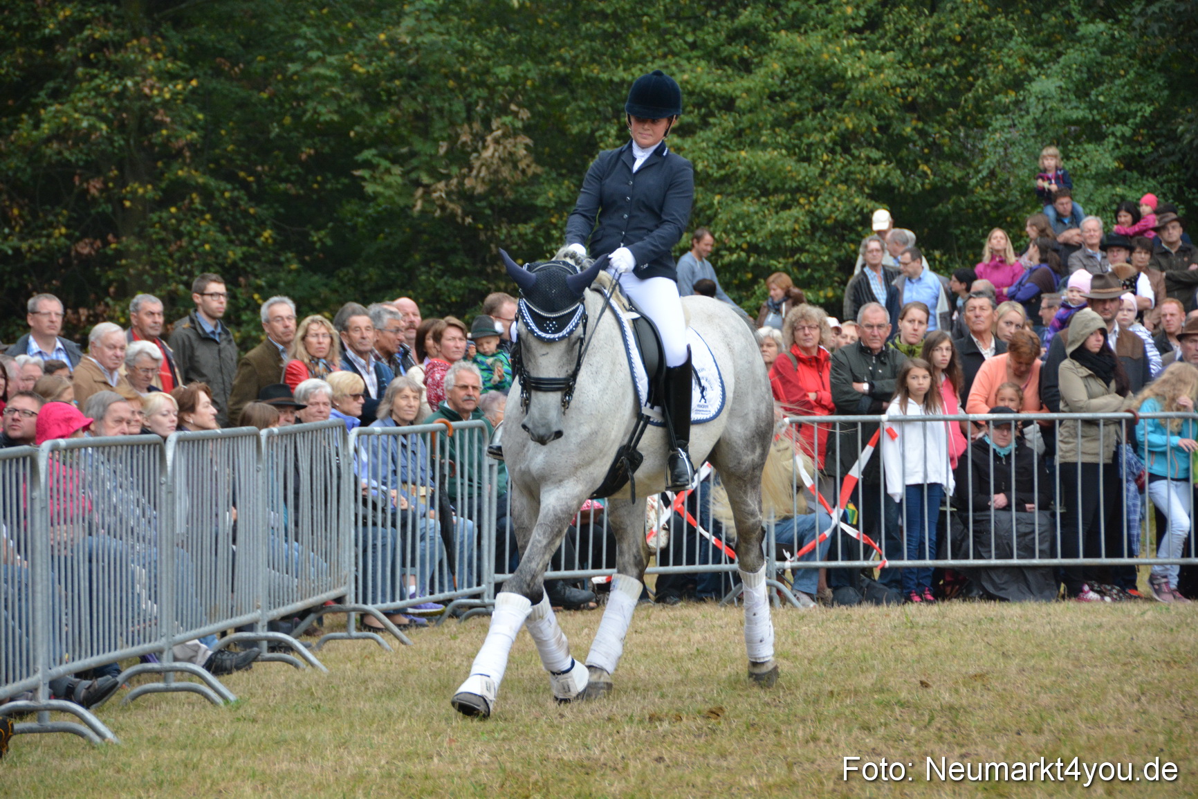 Pferde und Fohlenschau 170815 0197