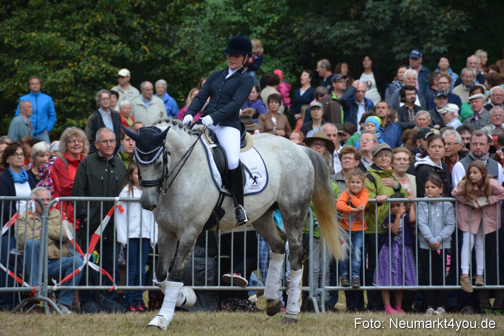 Pferde und Fohlenschau 170815 0199