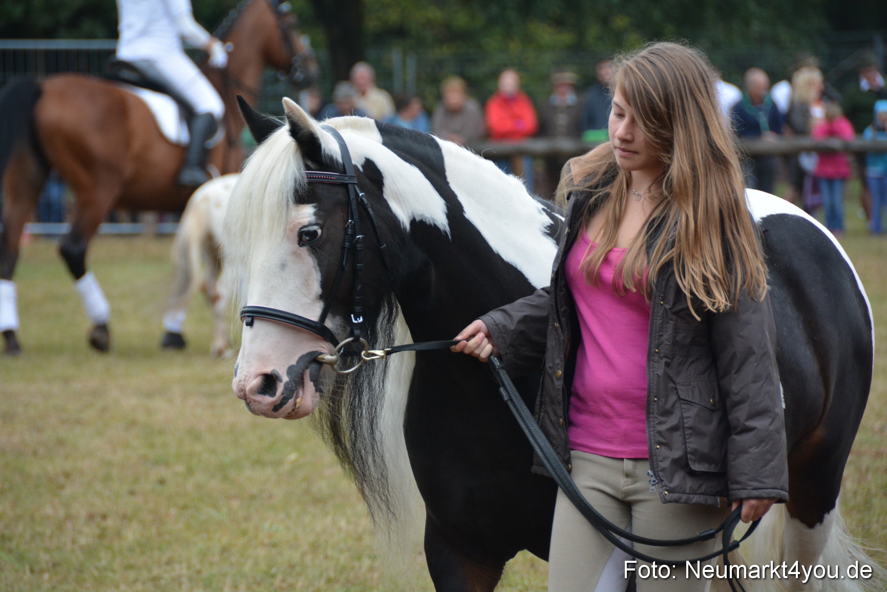 Pferde und Fohlenschau 170815 0204