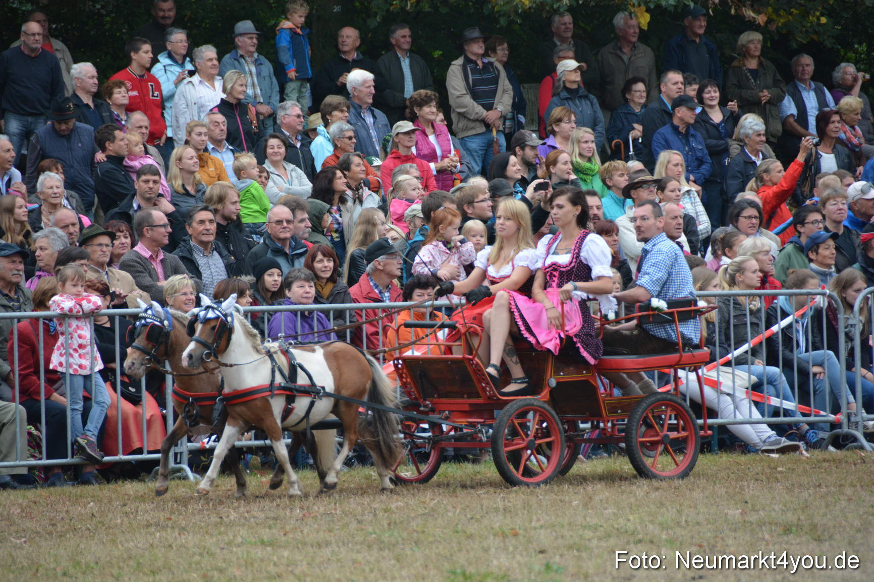 Pferde und Fohlenschau 170815 0213