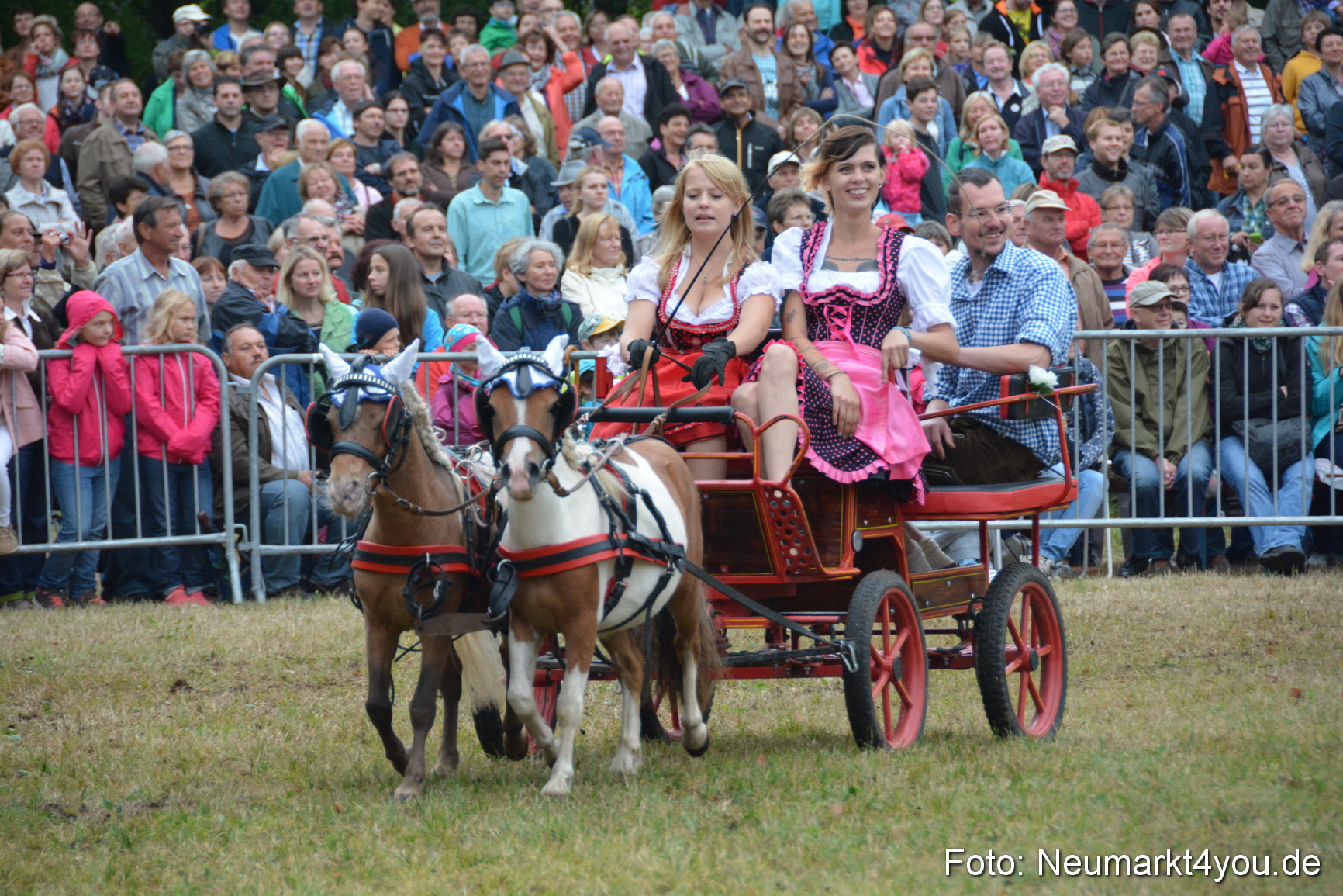 Pferde und Fohlenschau 170815 0215