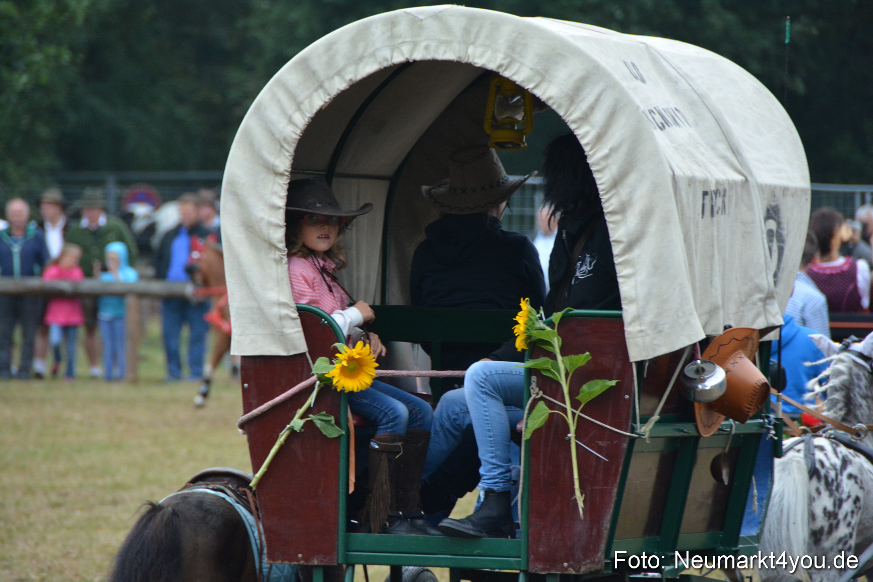 Pferde und Fohlenschau 170815 0218