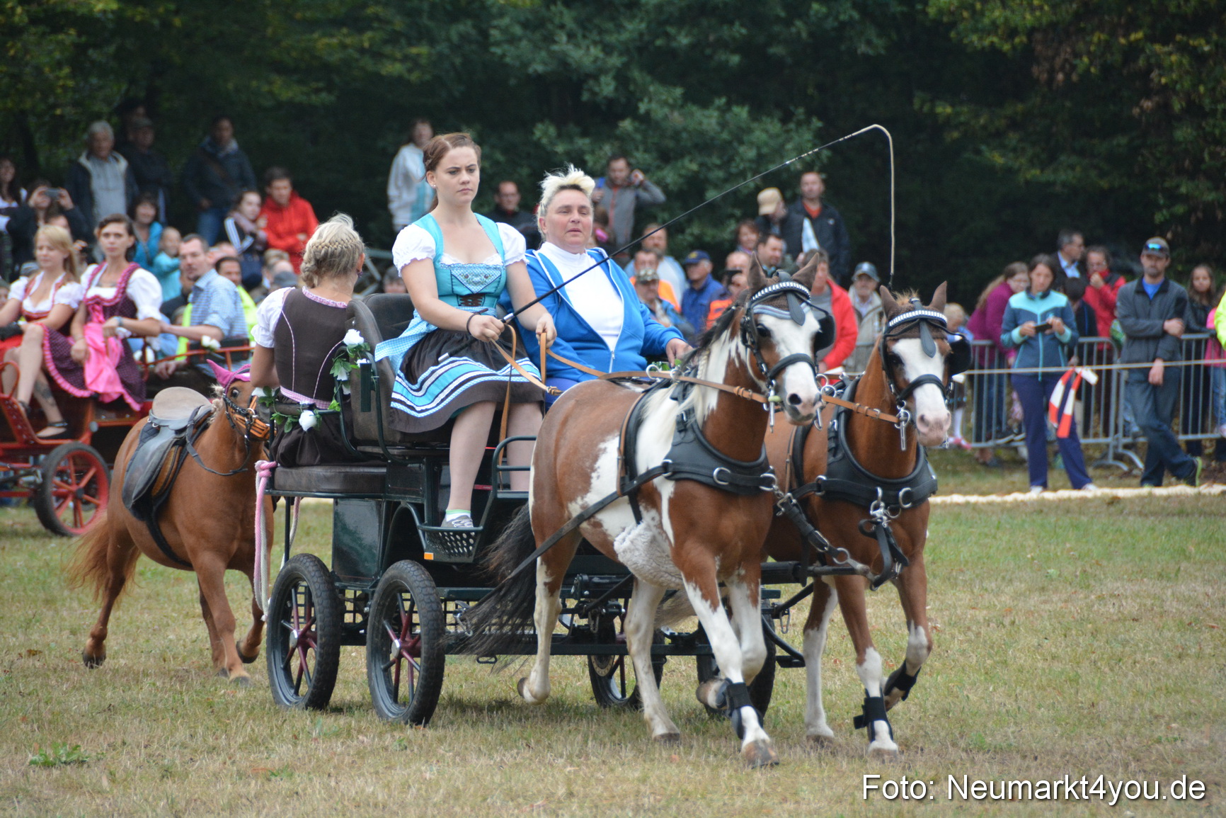 Pferde und Fohlenschau 170815 0219