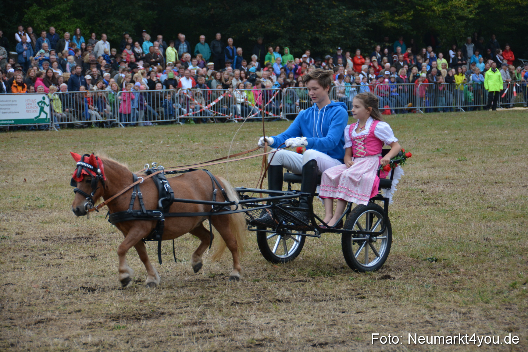 Pferde und Fohlenschau 170815 0222