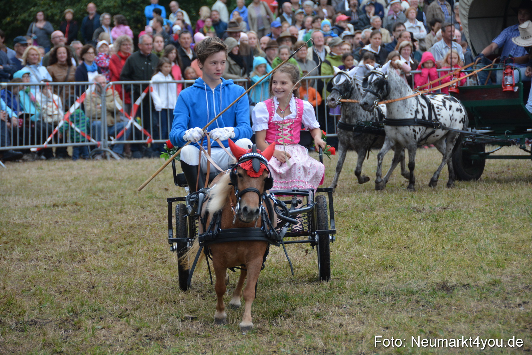 Pferde und Fohlenschau 170815 0224