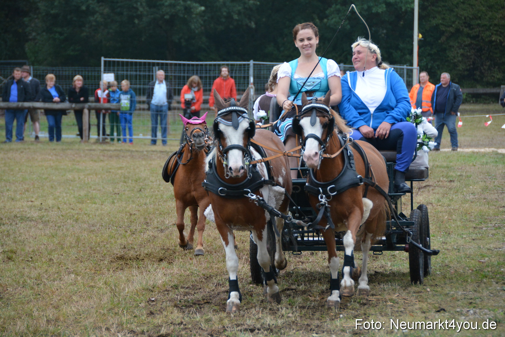 Pferde und Fohlenschau 170815 0225