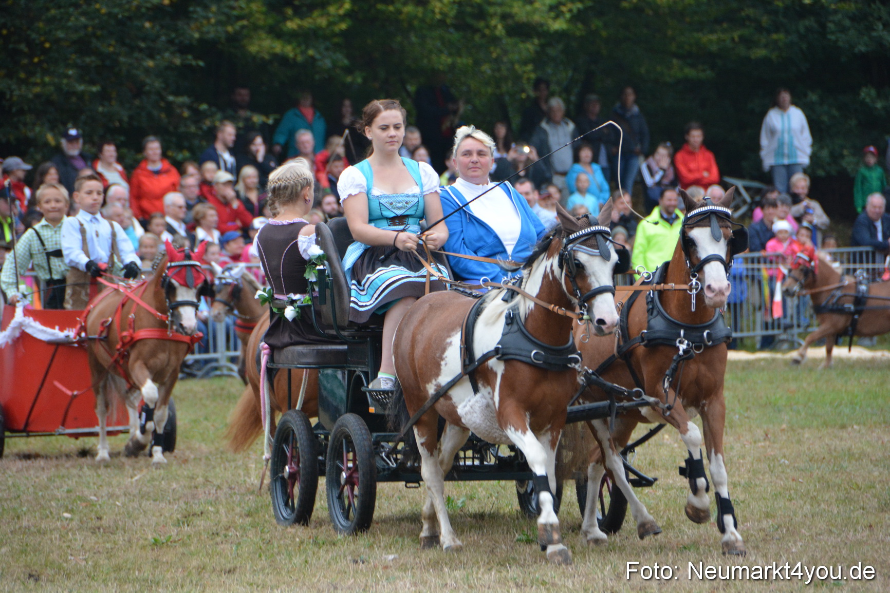 Pferde und Fohlenschau 170815 0227