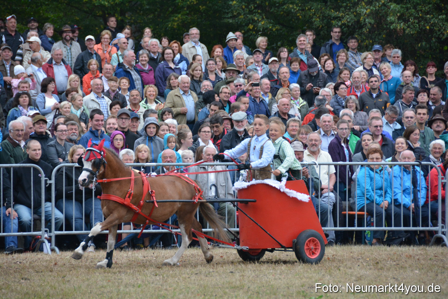 Pferde und Fohlenschau 170815 0230
