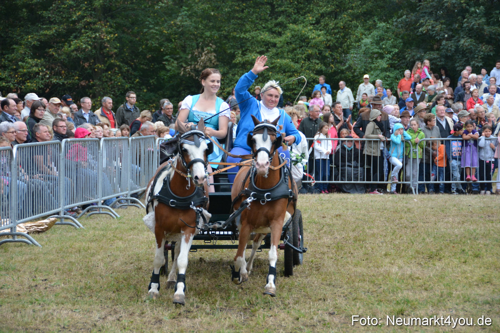 Pferde und Fohlenschau 170815 0231