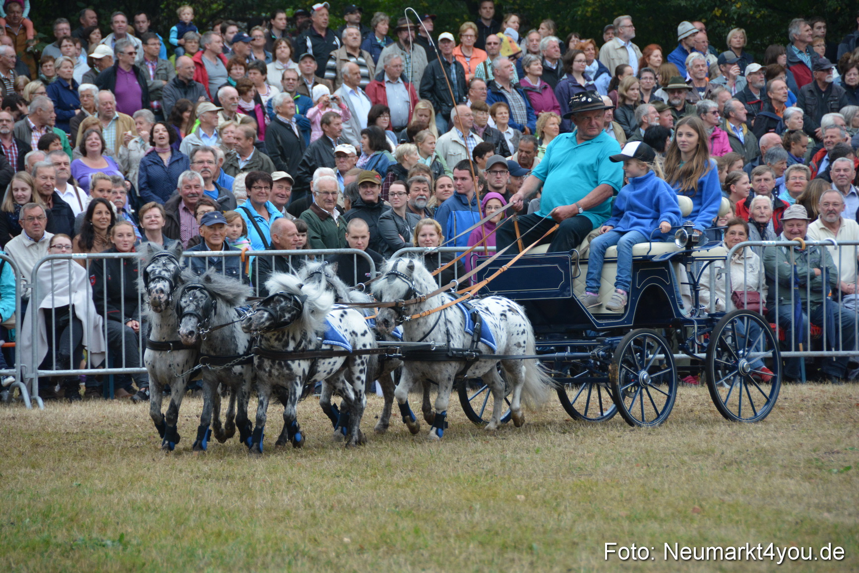 Pferde und Fohlenschau 170815 0235