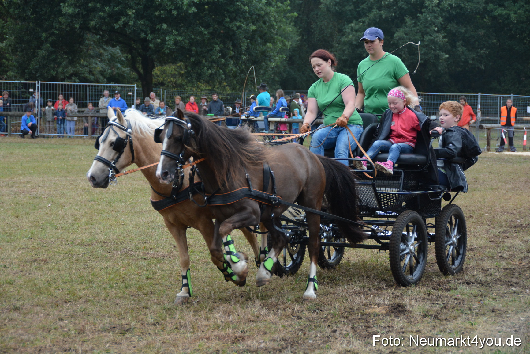 Pferde und Fohlenschau 170815 0239