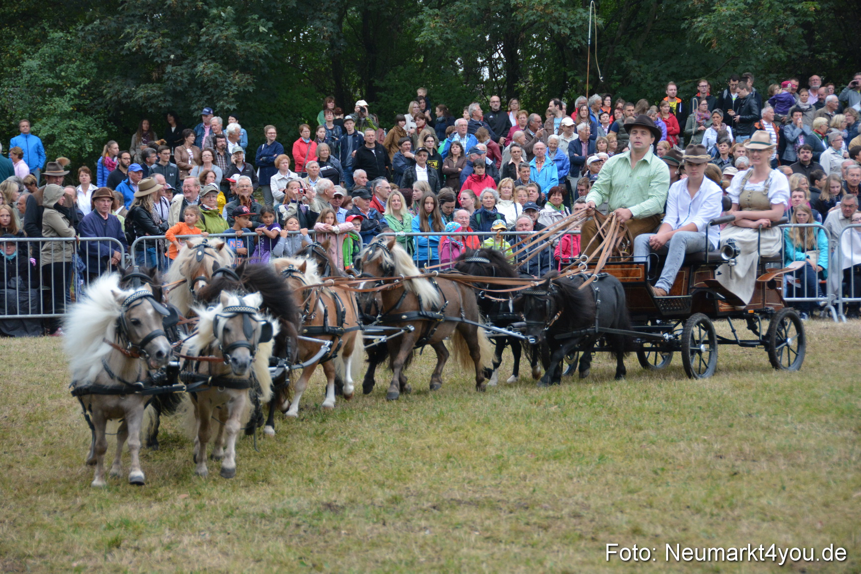 Pferde und Fohlenschau 170815 0248