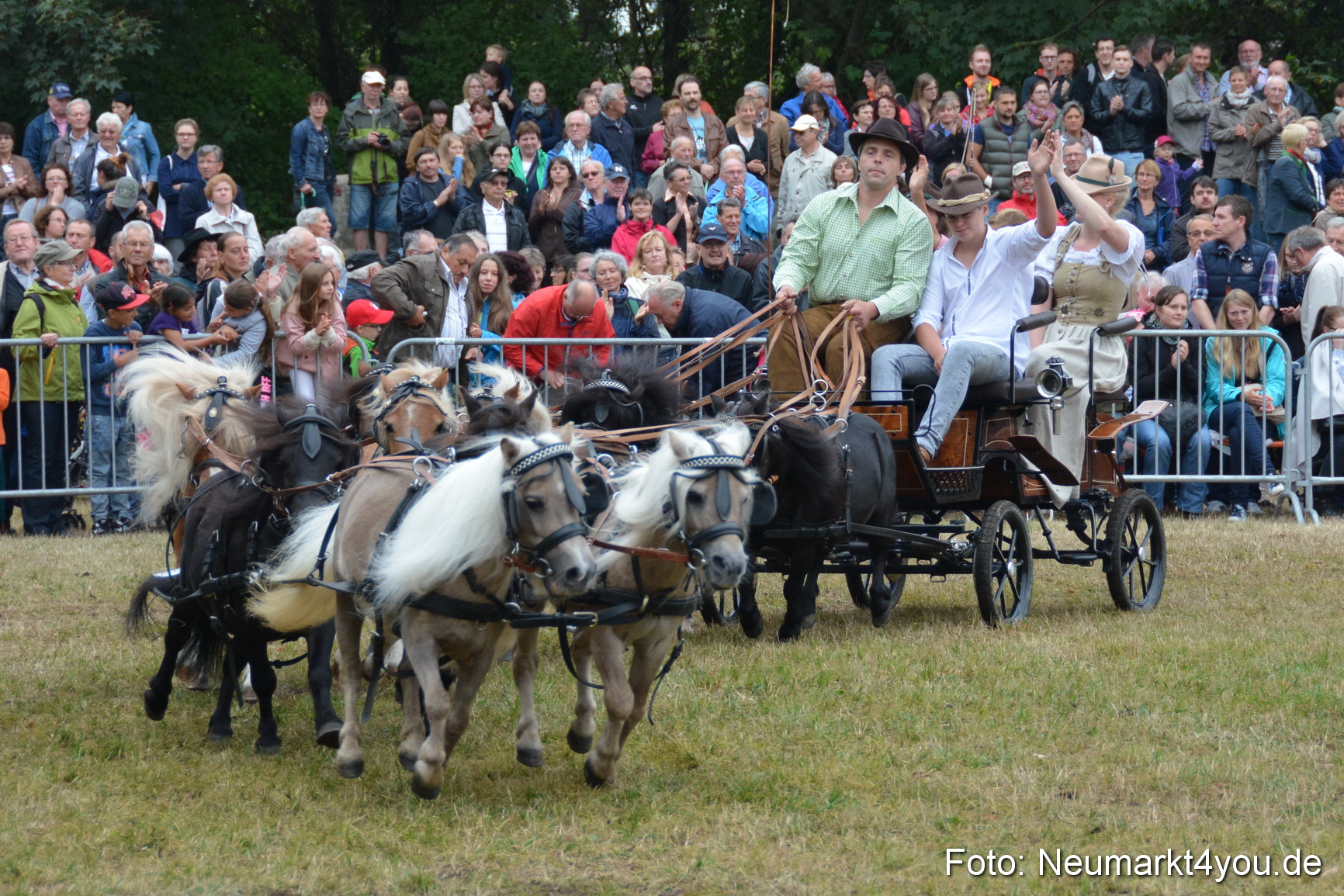 Pferde und Fohlenschau 170815 0250