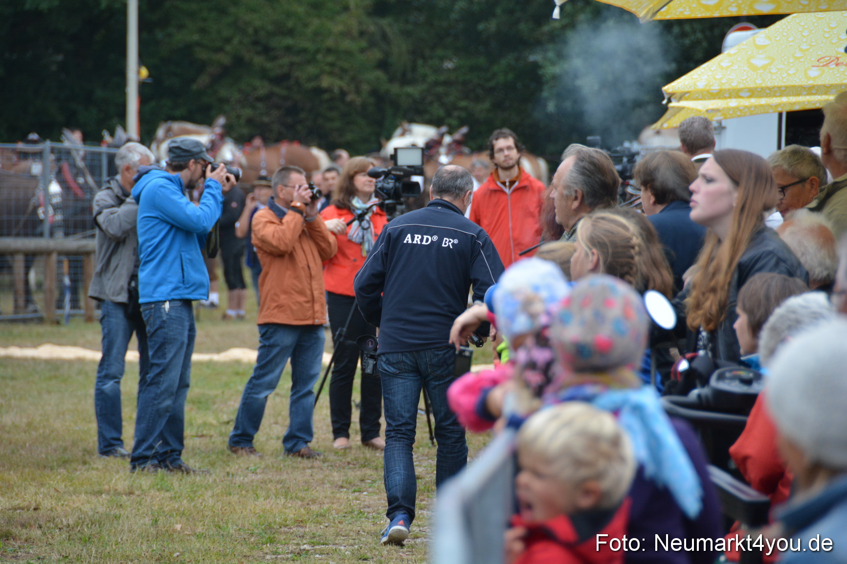 Pferde und Fohlenschau 170815 0011