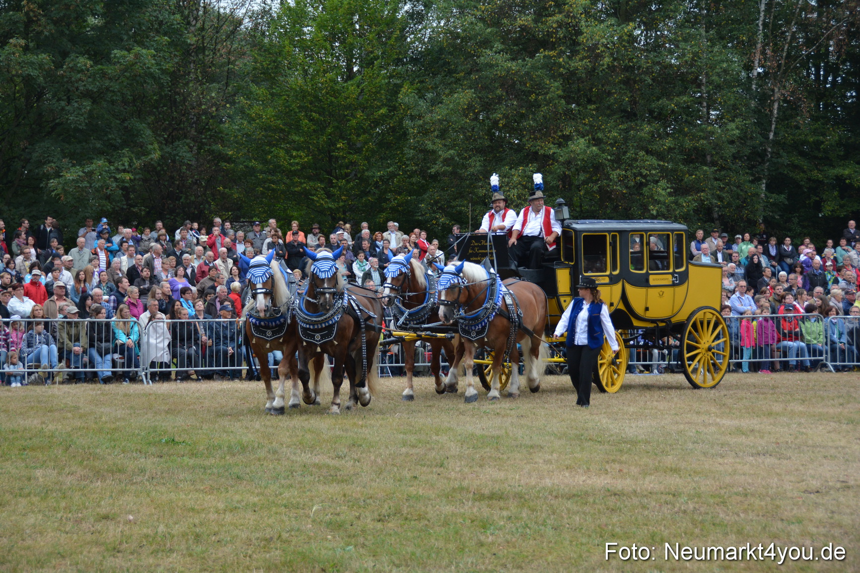 Pferde und Fohlenschau 170815 0012