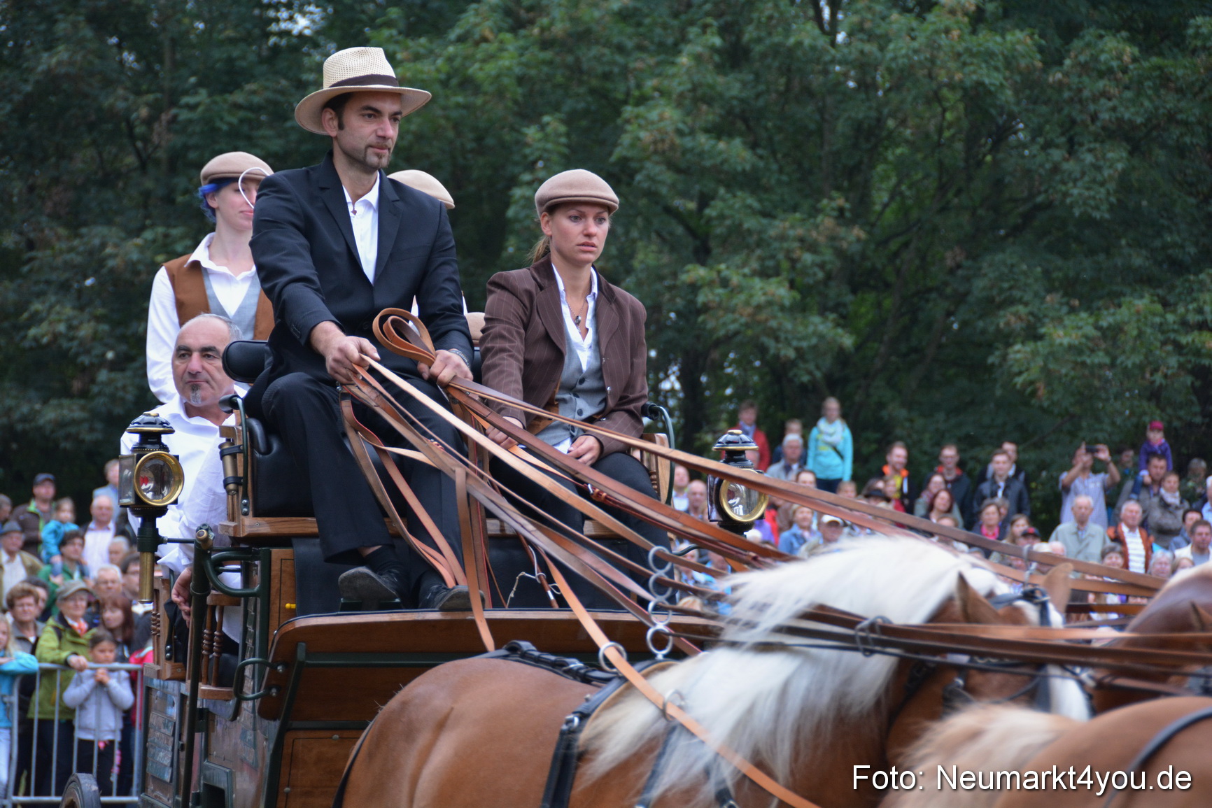Pferde und Fohlenschau 170815 0029