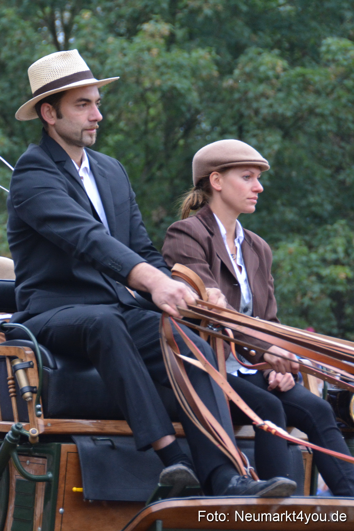 Pferde und Fohlenschau 170815 0037