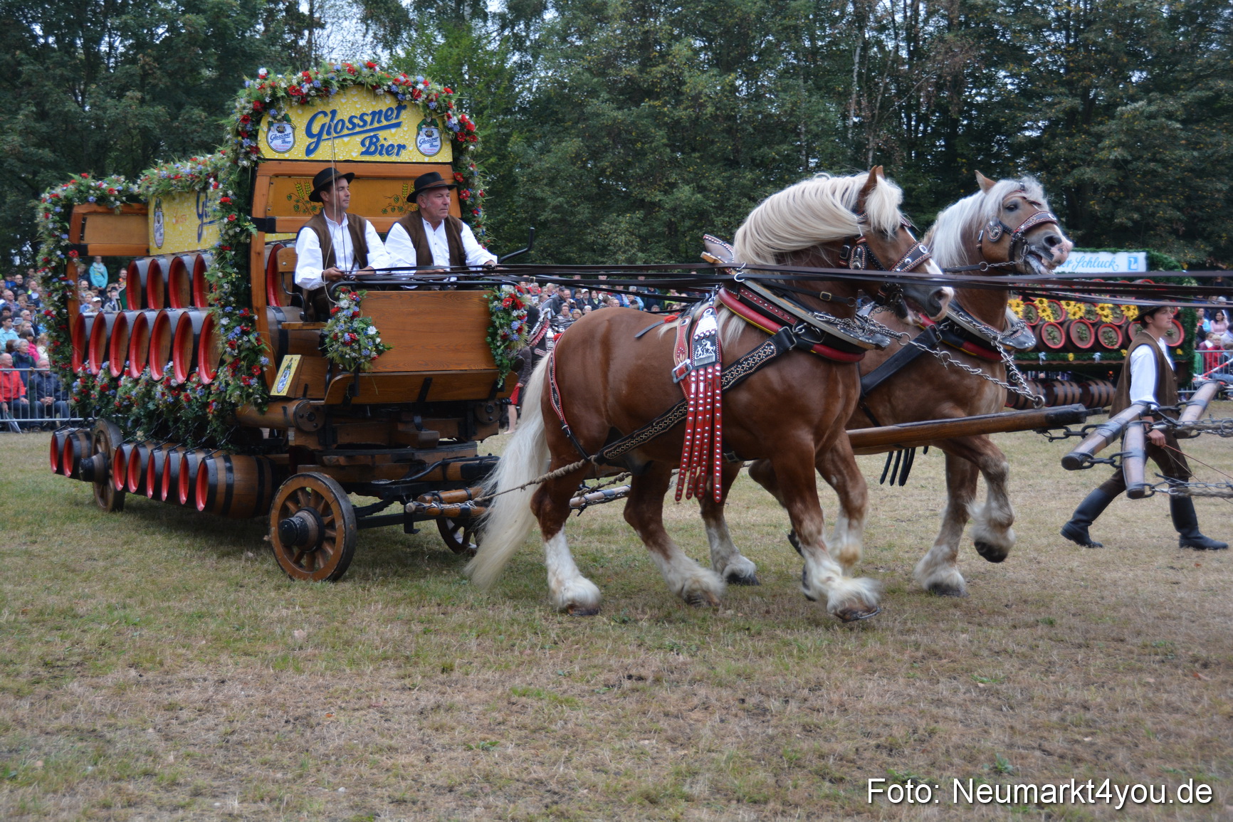 Pferde und Fohlenschau 170815 0043