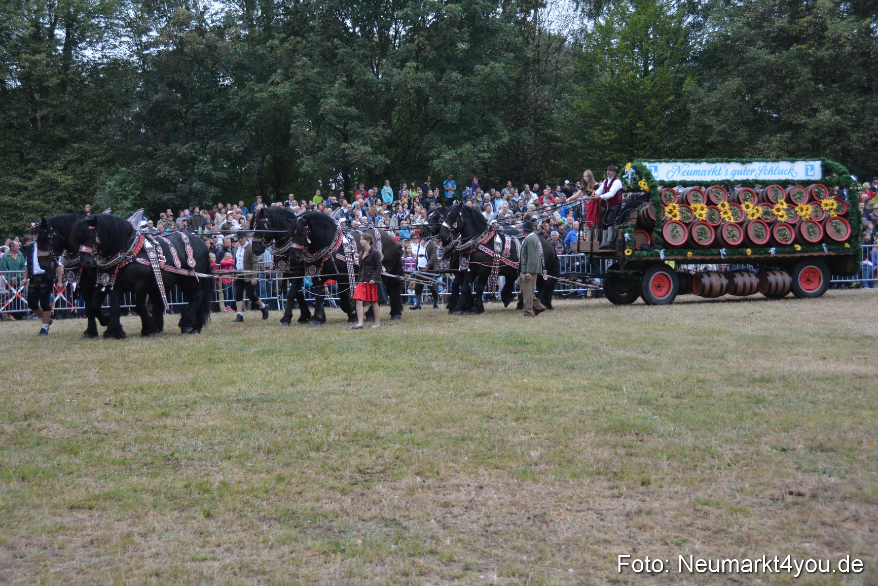 Pferde und Fohlenschau 170815 0046