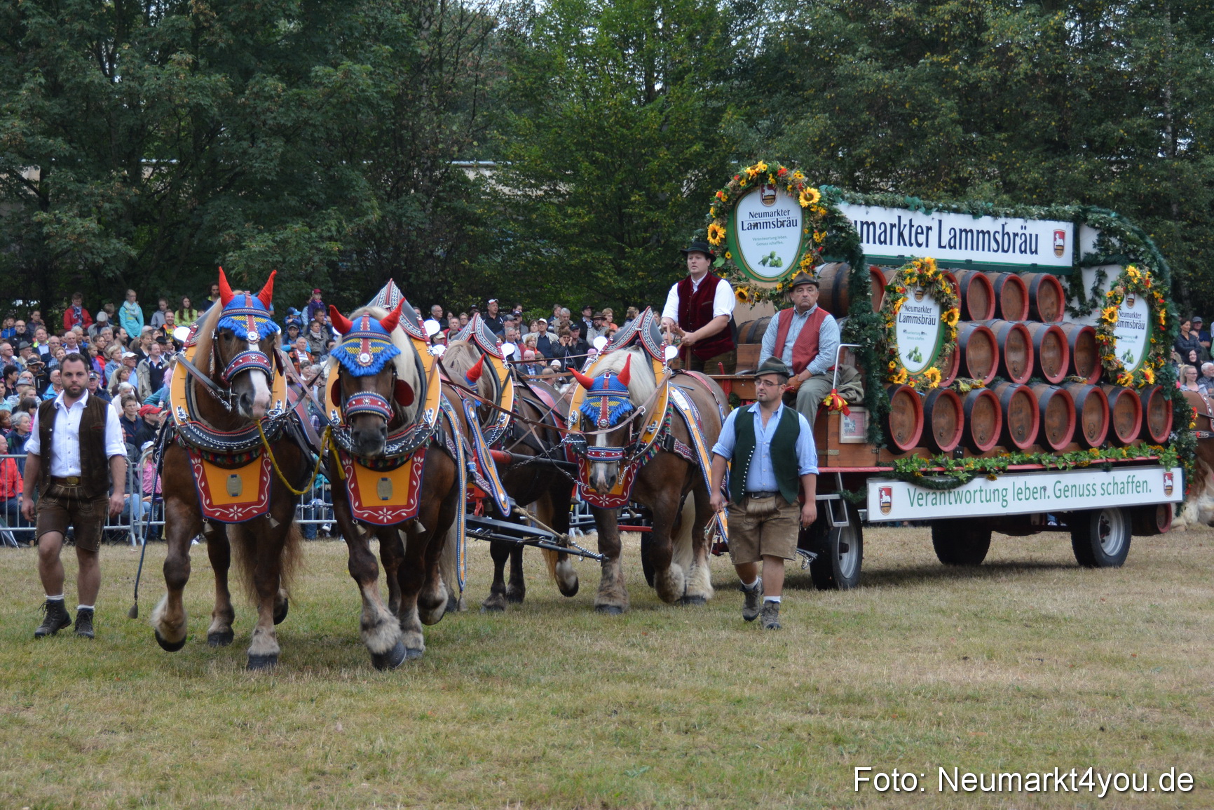 Pferde und Fohlenschau 170815 0061