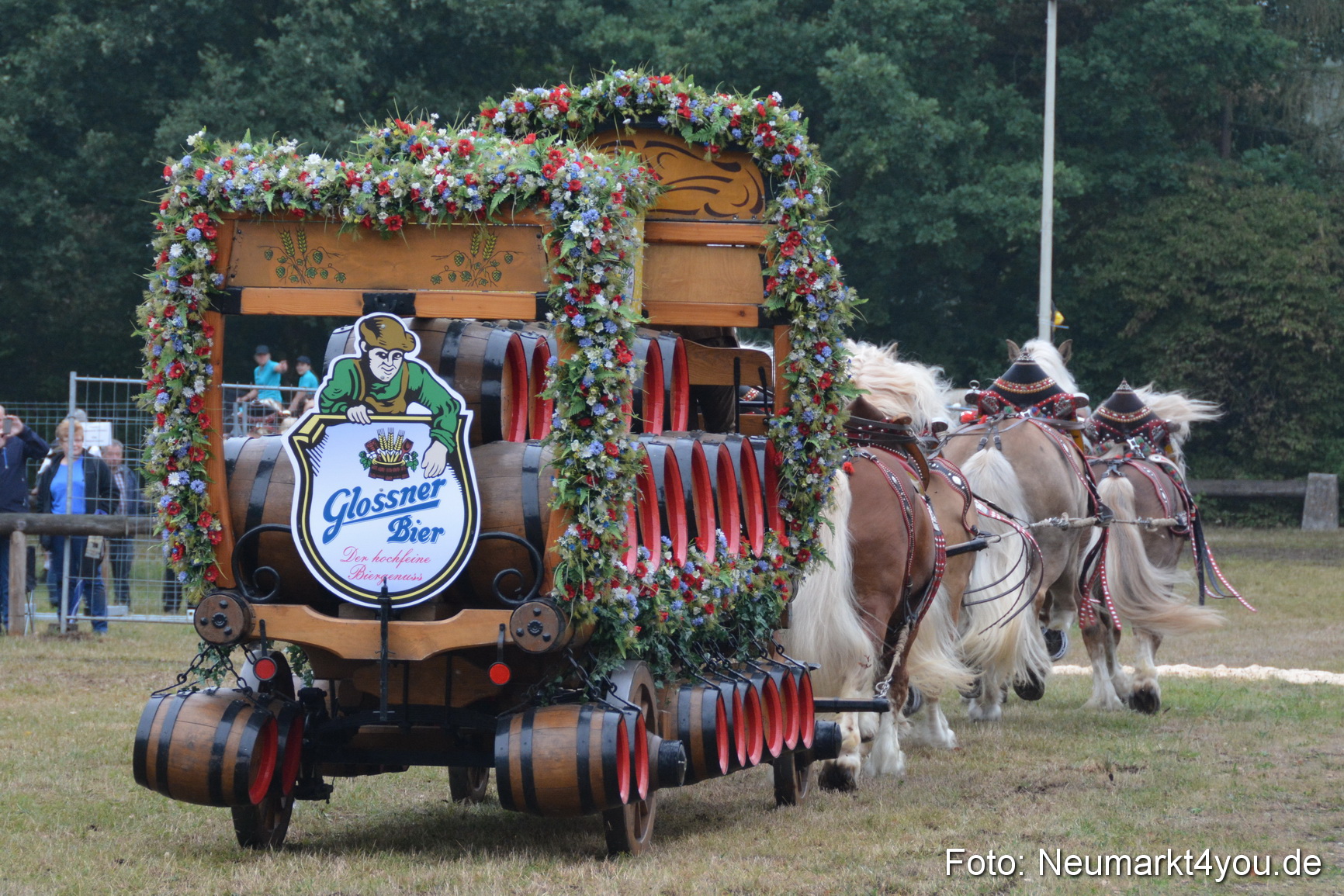 Pferde und Fohlenschau 170815 0070