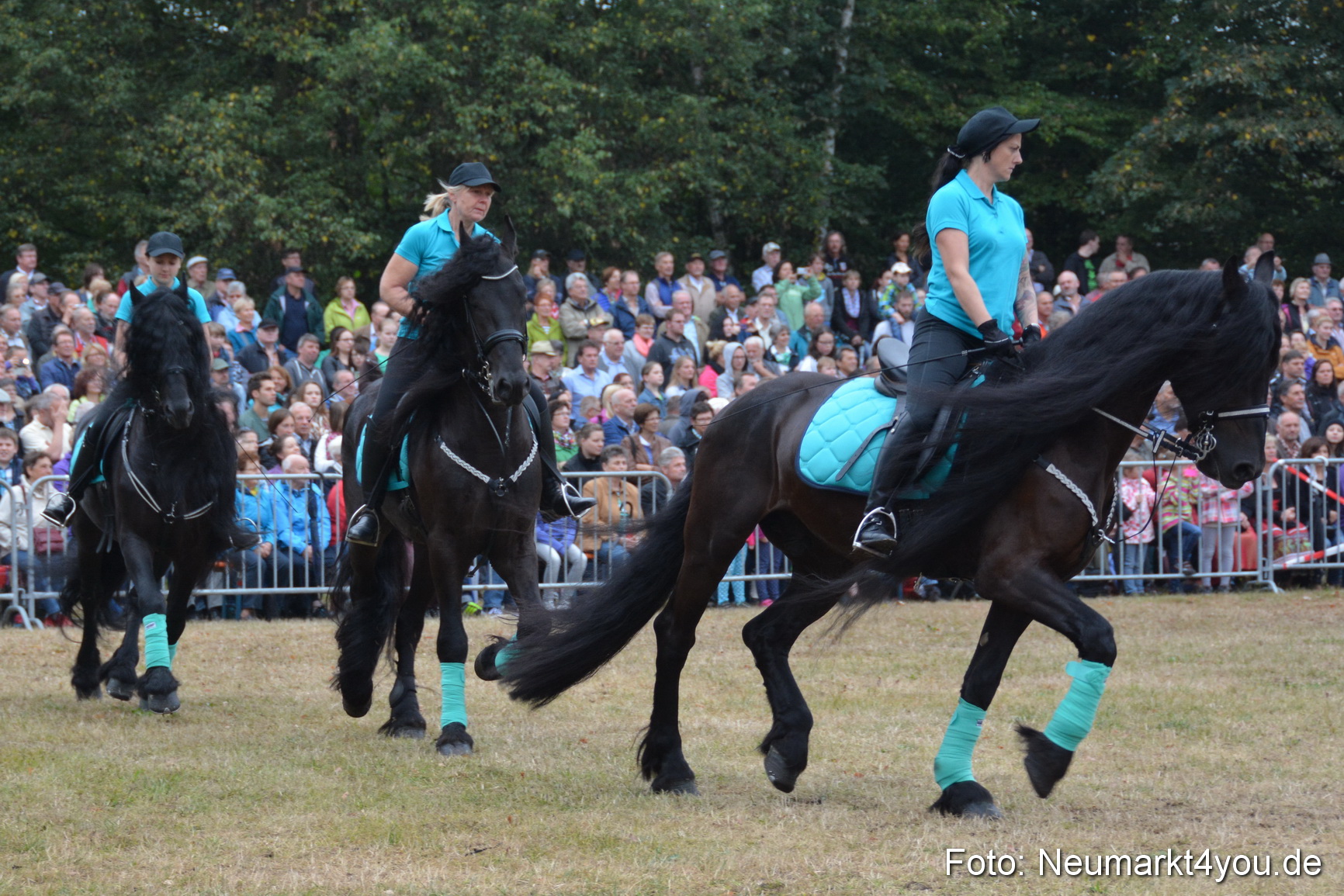 Pferde und Fohlenschau 170815 0072