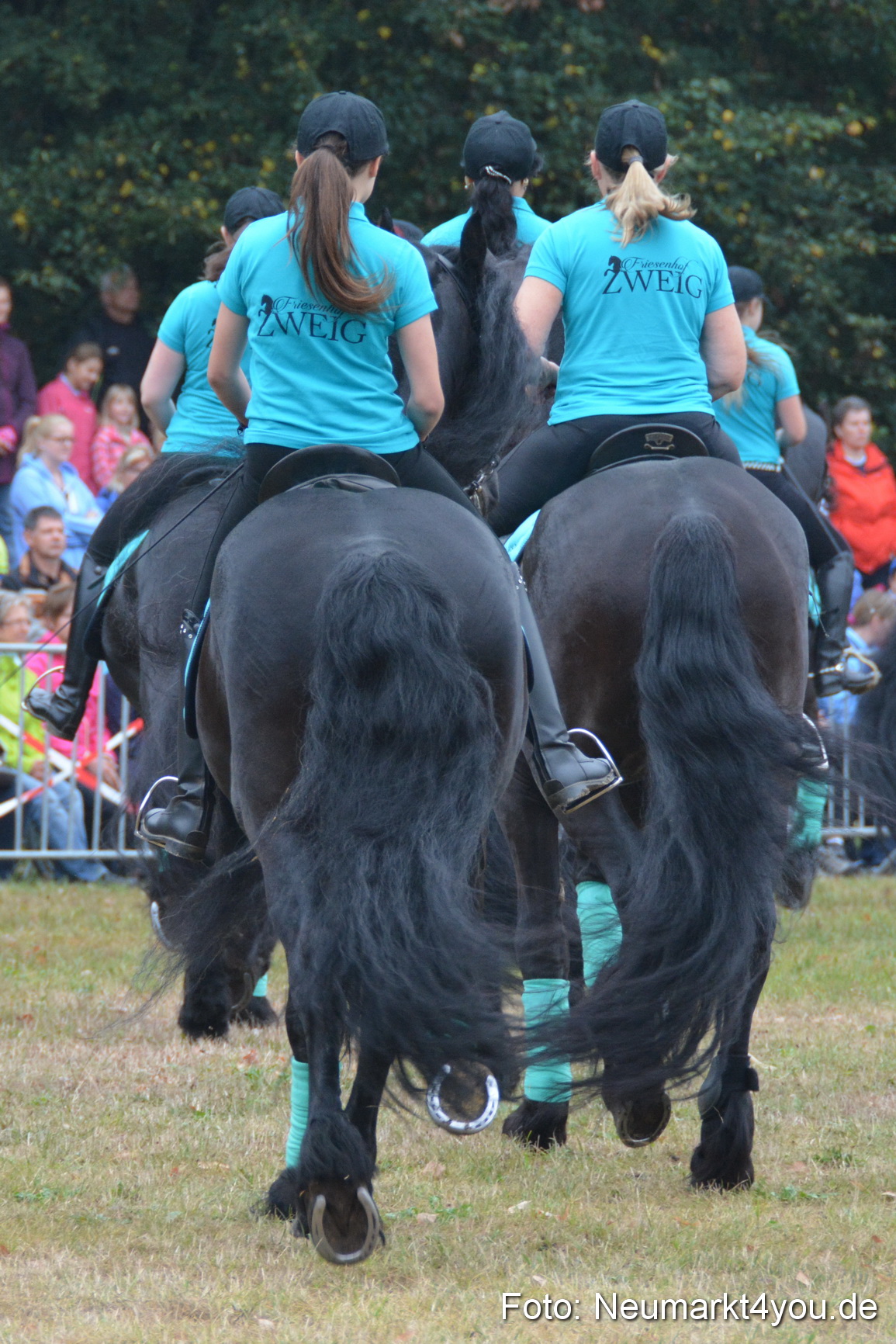 Pferde und Fohlenschau 170815 0074