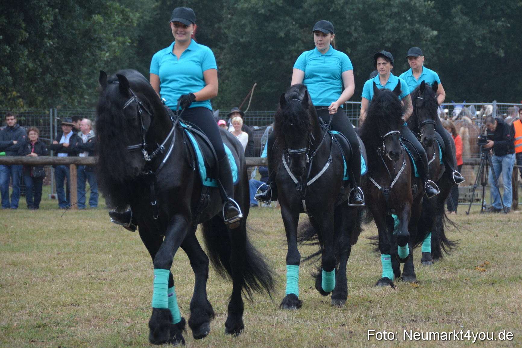 Pferde und Fohlenschau 170815 0075