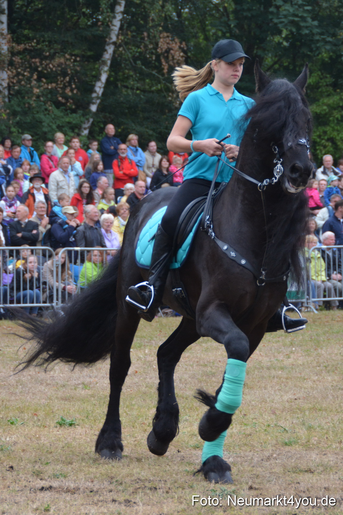 Pferde und Fohlenschau 170815 0081