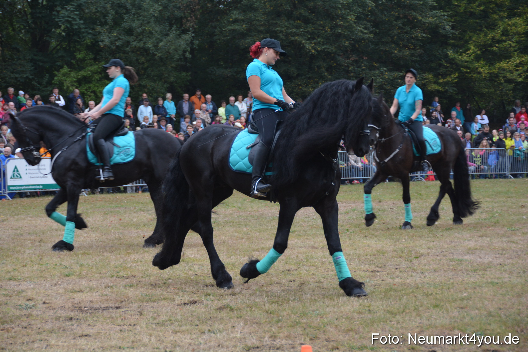 Pferde und Fohlenschau 170815 0082