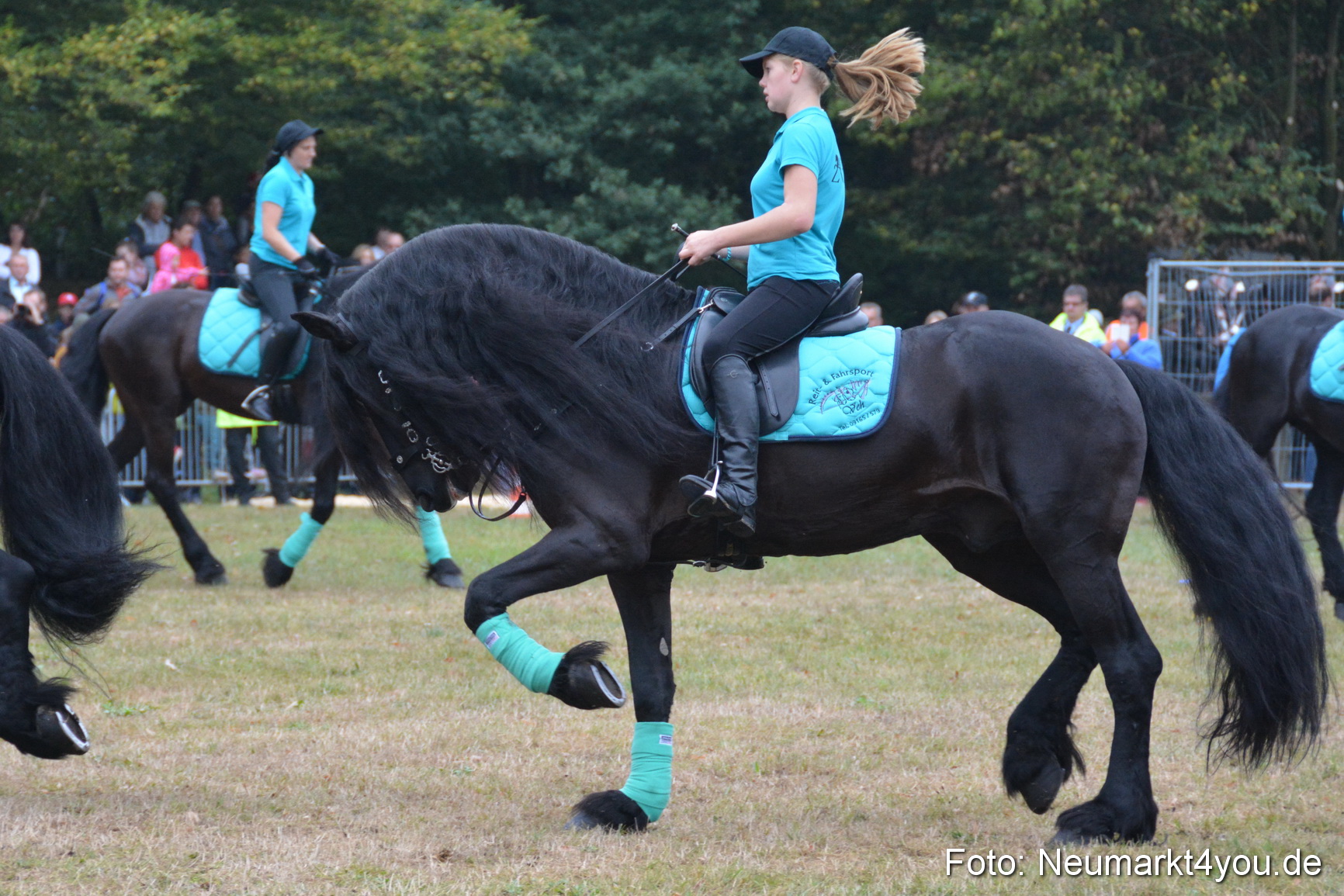 Pferde und Fohlenschau 170815 0085
